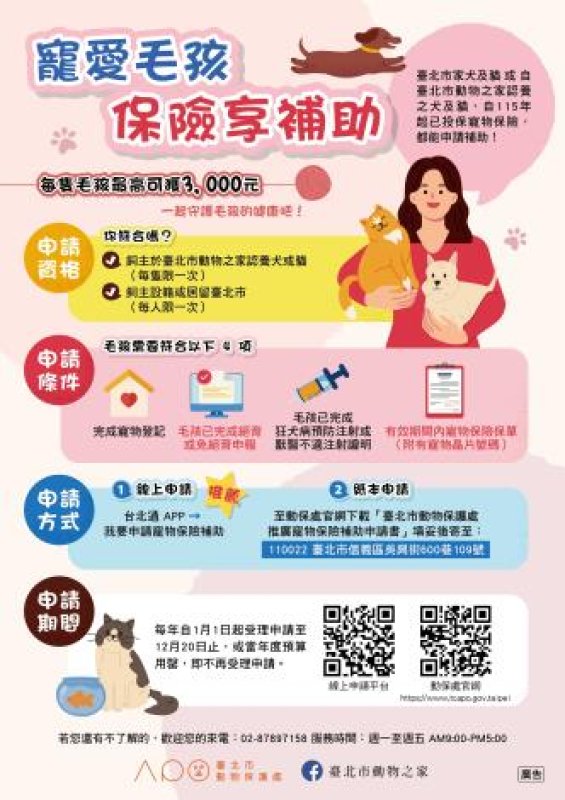 臺北市毛孩福利再升級 115年加碼補助家犬貓絕育及寵物保險