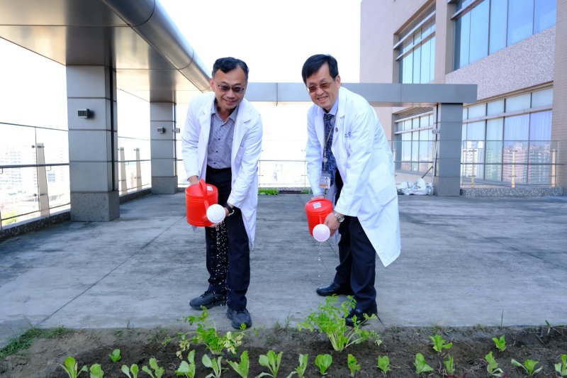 小港醫院「種福田」將廚餘轉循環，打造全台綠色醫療標竿