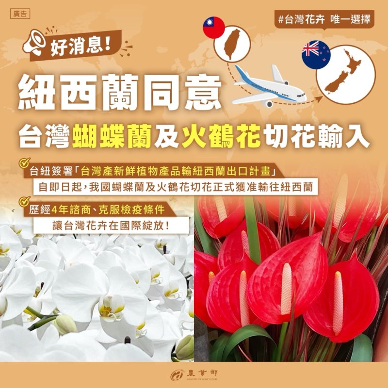 再創優質切花外銷版圖 臺灣蝴蝶蘭及火鶴花切花獲紐西蘭同意輸入