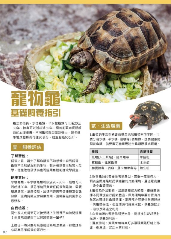 世界烏龜日 新北動保處邀您攜手護龜