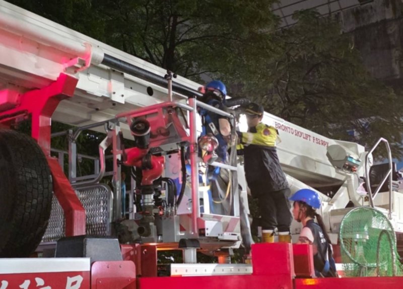 機關協力! 新北動保處與消防、警察合作救援樹上小貓