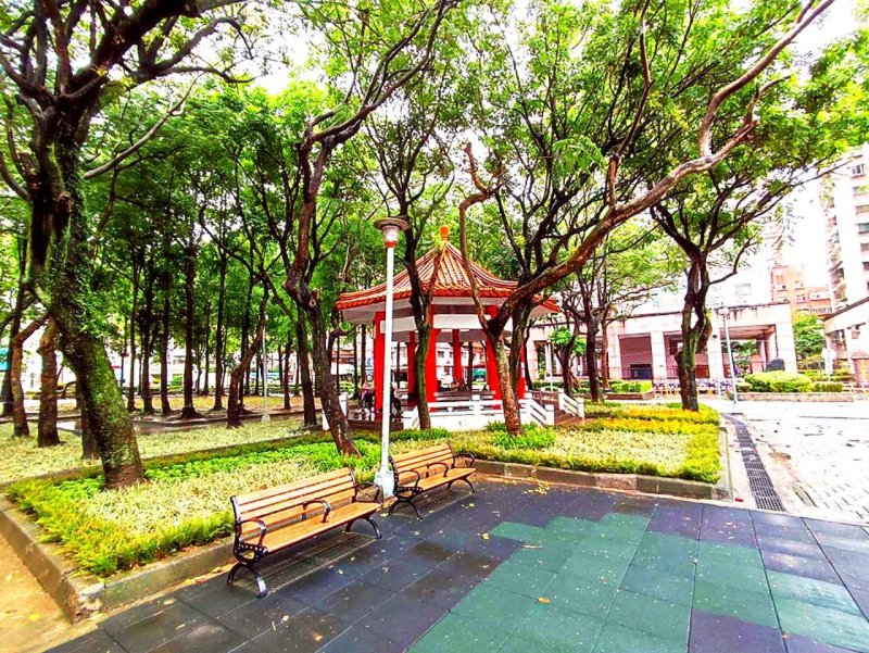 妝點板橋華德公園打造有感綠意，地景點亮城市綠蒔力
