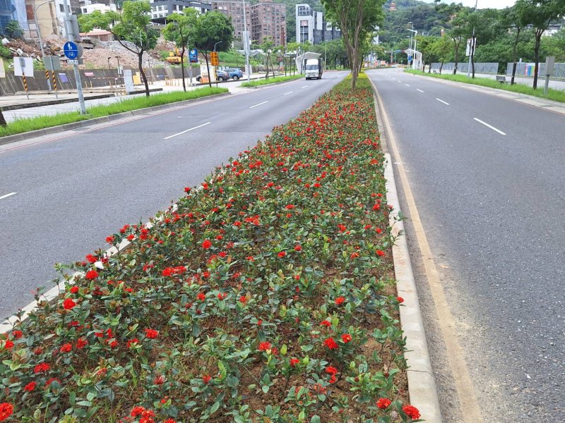 三鶯文創新亮點！景觀處打造館前路景觀廊道喜迎「藝向新北」系列活動