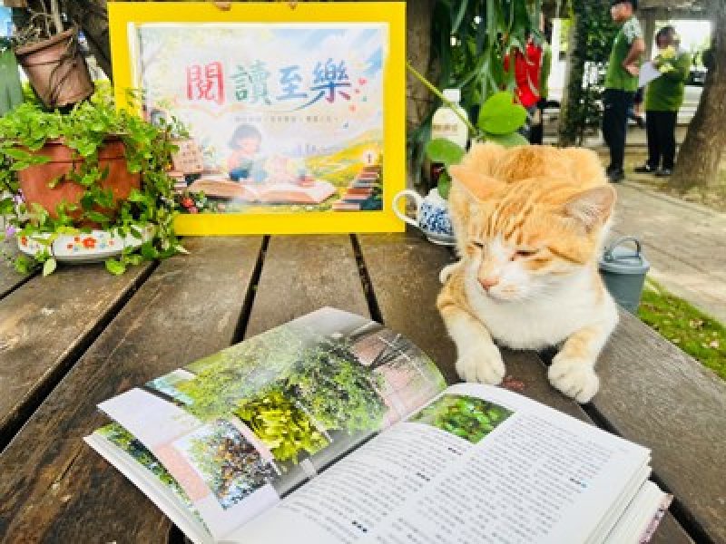 綠意與書香交織！ 中市外埔區清潔隊打造「榕樹下閱讀角」 療癒同仁身心