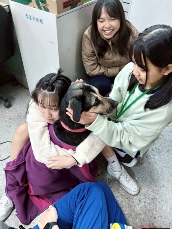 新北校犬「睿睿」化身生命教育夥伴 陪伴師生共學傳遞動物友善力量