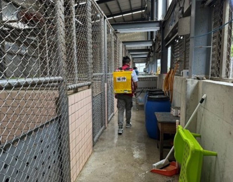 夏季來臨 新北動物之家清消防蟲守護毛寶貝
