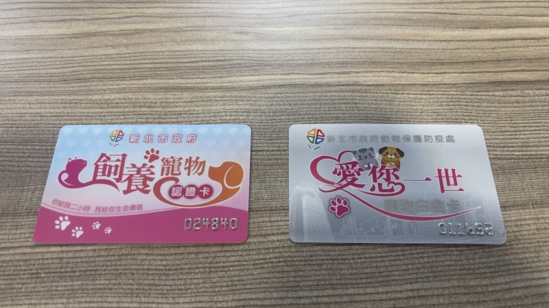 「史酷比」現蹤板橋，新北動保處網路招親送澎湃大禮包