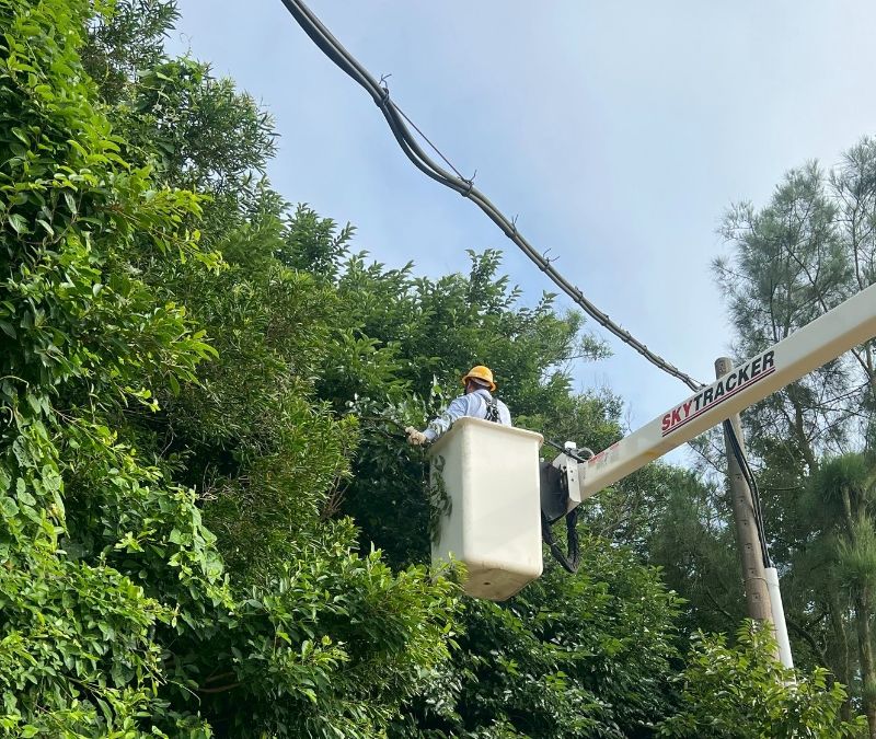 因應沙德爾颱風持續朝台灣西北方向接近,台電已動員人力落實防災設備及備料盤點 因應沙德爾颱風持續朝台灣西北方向接近,台電已動員人力落實防災設備及備料盤點