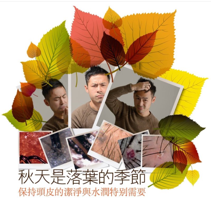 【亞太頭皮顧問專欄】頭皮也需要吃「補品」？10月深層養髮，打造強健髮根的關鍵期