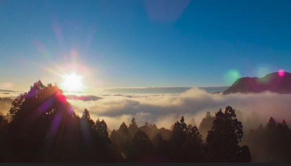 新春期間，追日欣賞雲海，入住阿里山賓館，就近至全球知名景點小笠原、祝山迎接曙光。照片／阿里山賓館