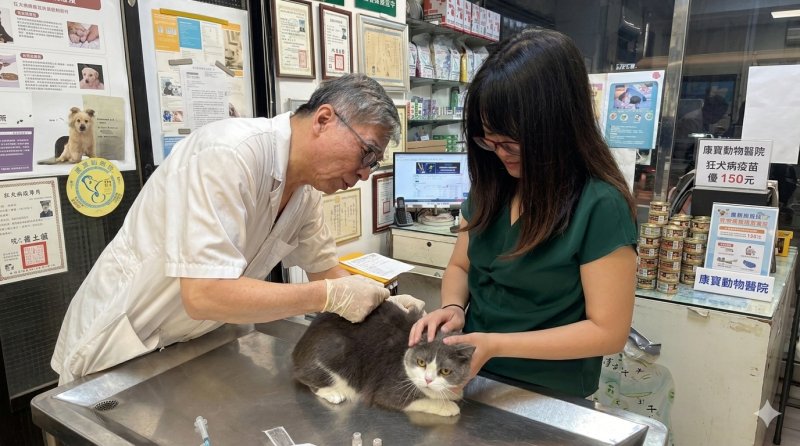 獸醫師協助飼主為家中貓隻完成狂犬病疫苗補強，為毛寶貝築起防疫防線