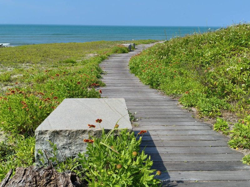 沿著步道漫步，一邊吹著海風、一邊欣賞花海與海景同框的畫面，彿置身異國海島。 沿著步道漫步，一邊吹著海風、一邊欣賞花海與海景同框的畫面，彿置身異國海島。