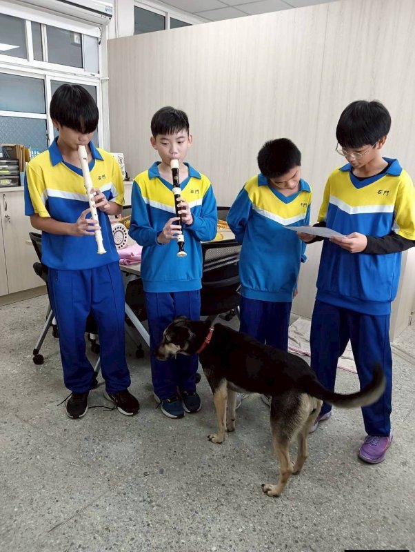 聖誕節睿睿隨這音樂熱情的猛搖尾巴引