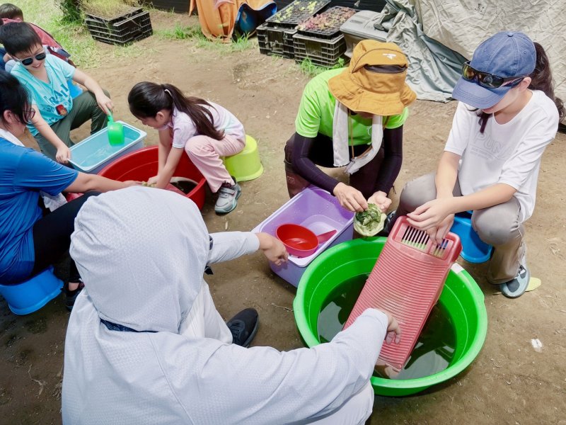 親子動手體驗麻芛揉製，認識在地飲食文化與食農教育
