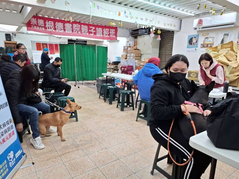 北市落實源頭管理　免費混種犬貓絕育三合一活動開跑